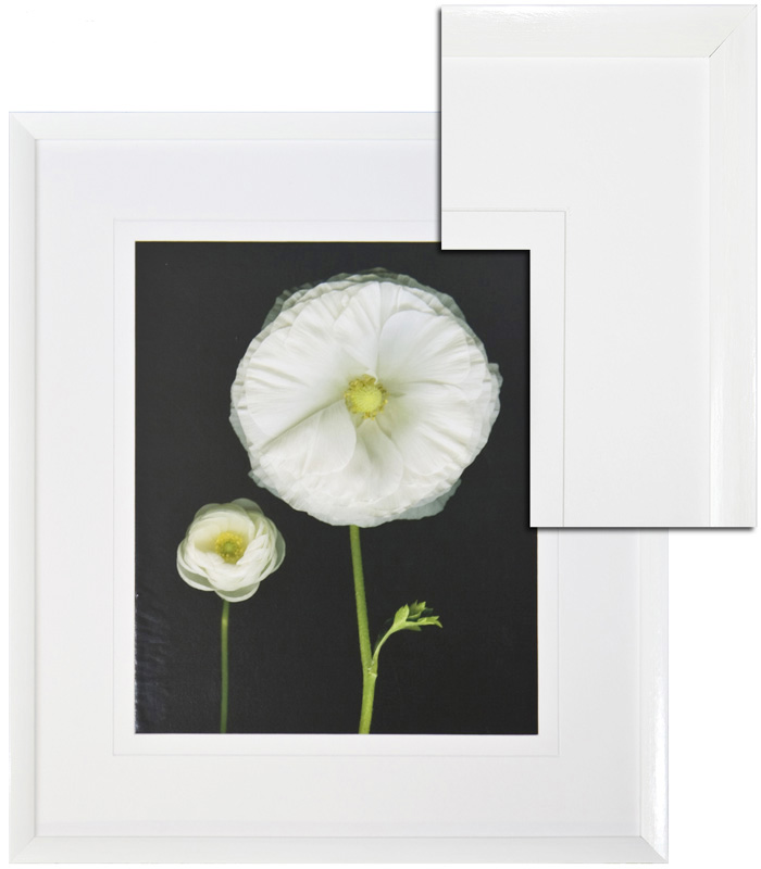 FP020 Wall décor art framed print floral white frame